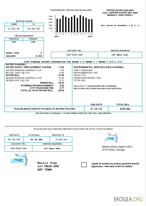 Modèle de facture d'eau pour les entreprises de Géorgie RWC aux formats Word et PDF1